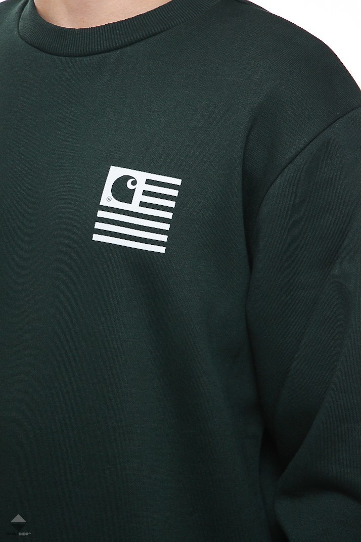carhartt state sports sweatshirt