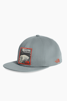 The North Face Embroidered Earthscape Snapback