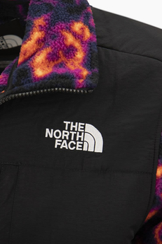 The North Face Denali 2 Winter Jacket