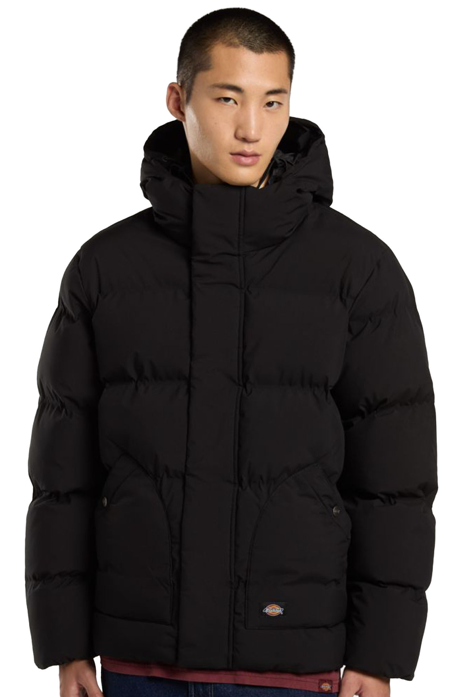 Zimowa Dickies Eagleville